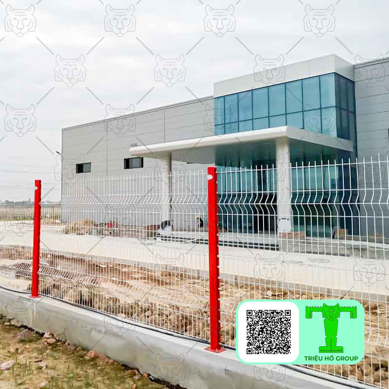 Hình ảnh 2